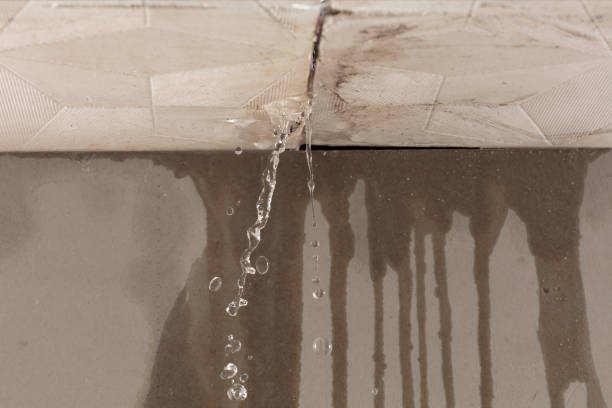 Professional Structural Drying technician working in Jeddo, MI